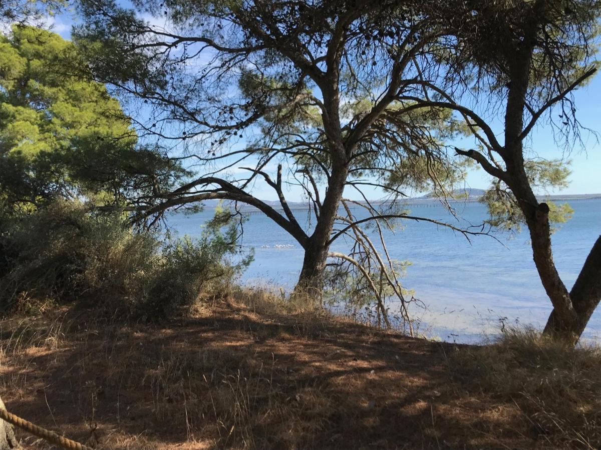 Au Bord De Thau Marseillan (Herault) Exterior foto