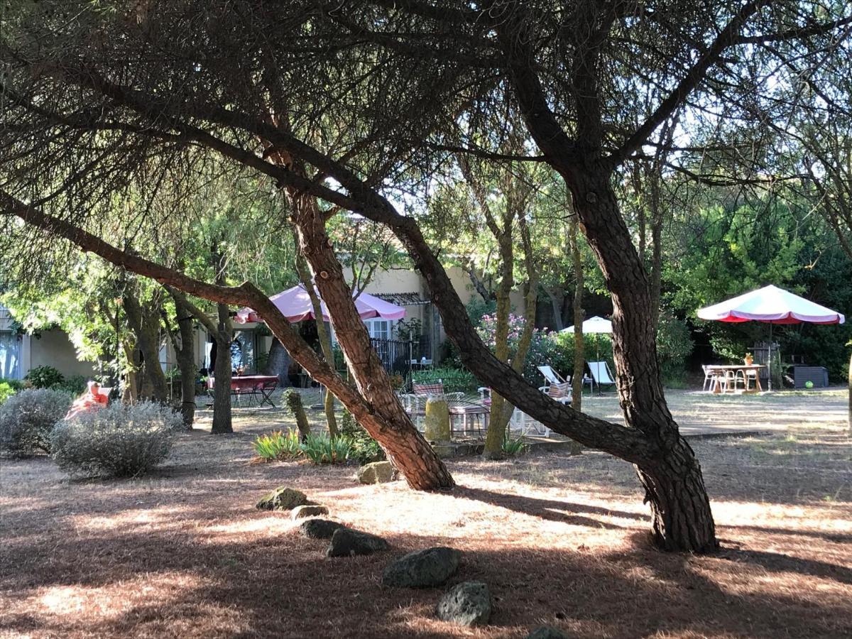 Au Bord De Thau Marseillan (Herault) Exterior foto