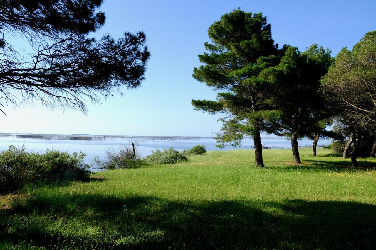 Au Bord De Thau Marseillan (Herault) Exterior foto