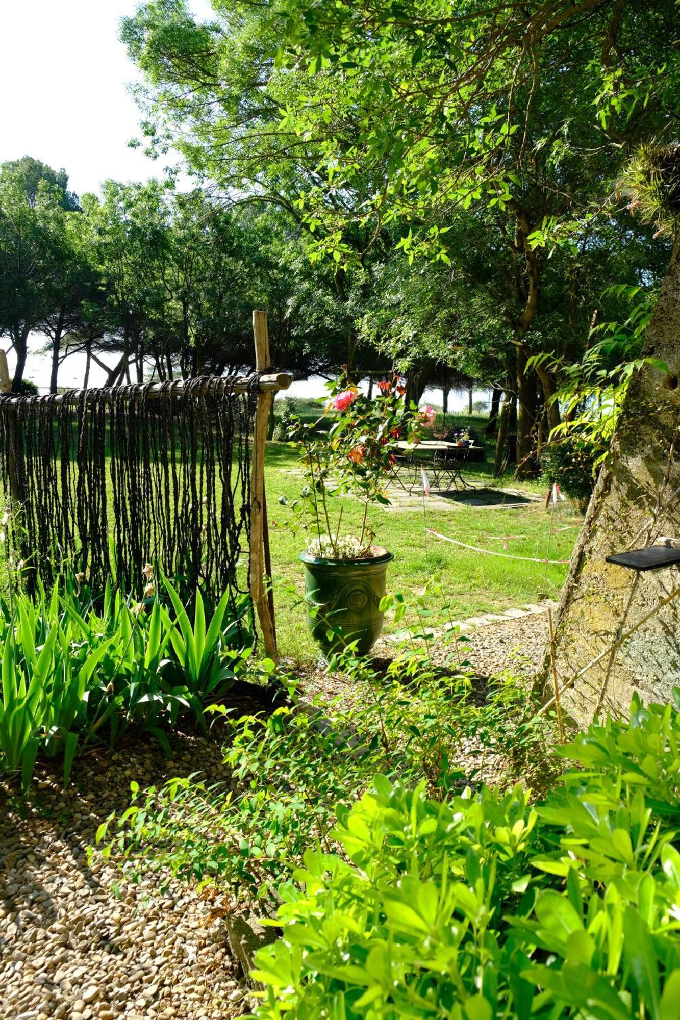 Au Bord De Thau Marseillan (Herault) Exterior foto